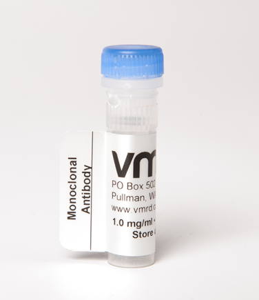 牛病毒性腹泻（BVDV）单抗