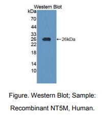 https://msimg.bioon.com/bionline/goods-no-pic.png