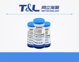 ActSep®CD3/CD28分选激活磁珠