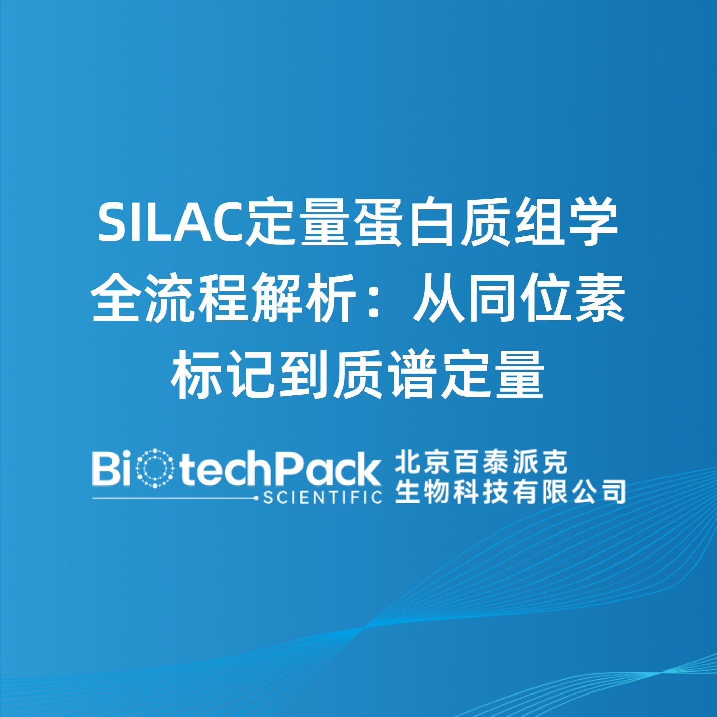 SILAC定量蛋白质组学全流程解析：从同位素标记到质谱定量