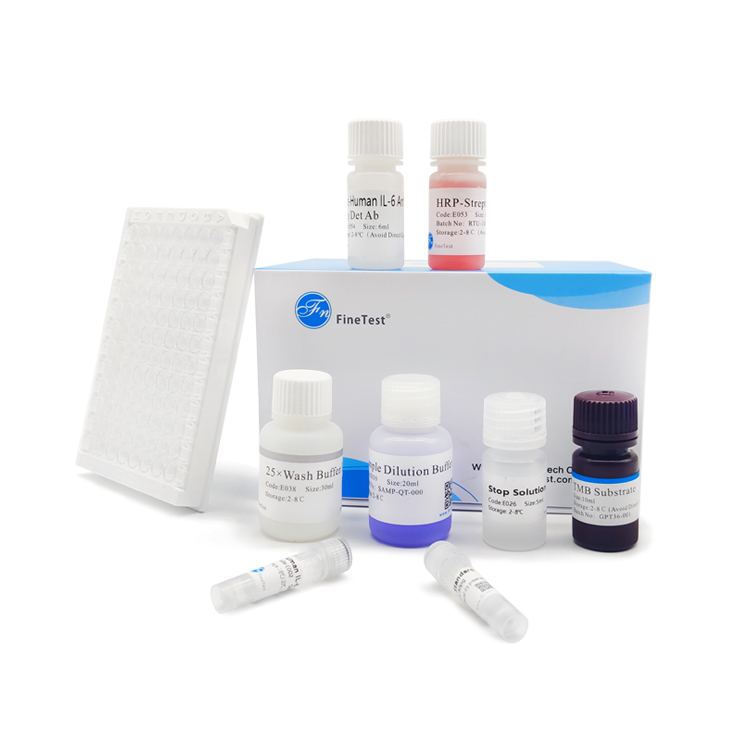 Human M-CSF QuickTest ELISA Kit|人巨噬細胞集落刺激因子(MCSF)快速檢測ELISA試劑盒