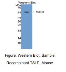 https://msimg.bioon.com/bionline/goods-no-pic.png