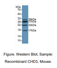 https://msimg.bioon.com/bionline/goods-no-pic.png