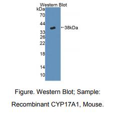 https://msimg.bioon.com/bionline/goods-no-pic.png