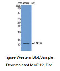 https://msimg.bioon.com/bionline/goods-no-pic.png