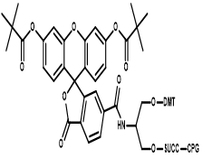 3'-(6-Fluorescein) CPG (C3-Fam CPG)