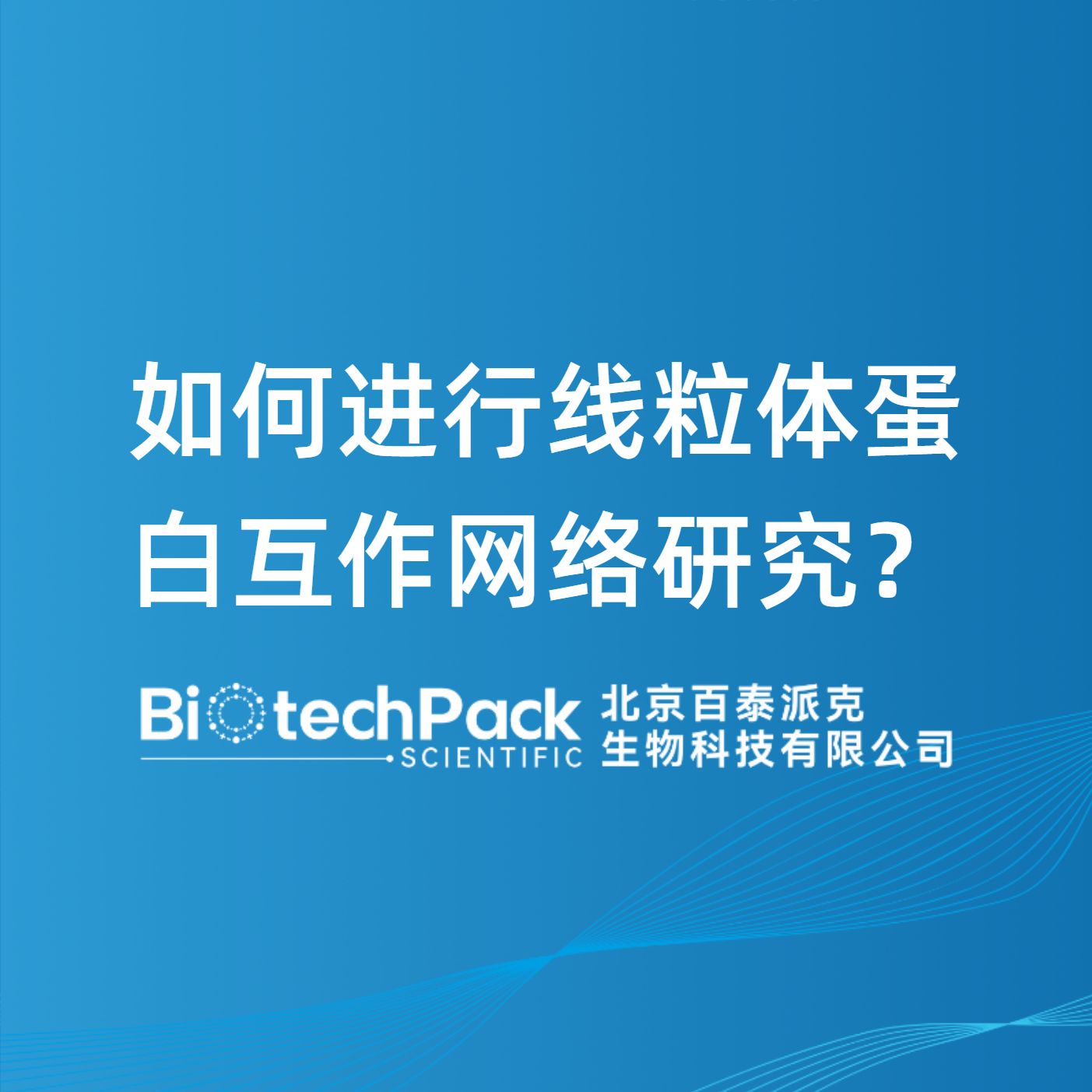如何進行線粒體蛋白互作網絡研究？