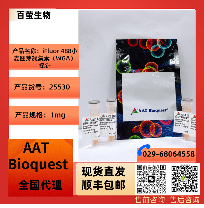 AAT Bioquest iFluor 488小麦胚芽凝集素（WGA）探针 货号25530