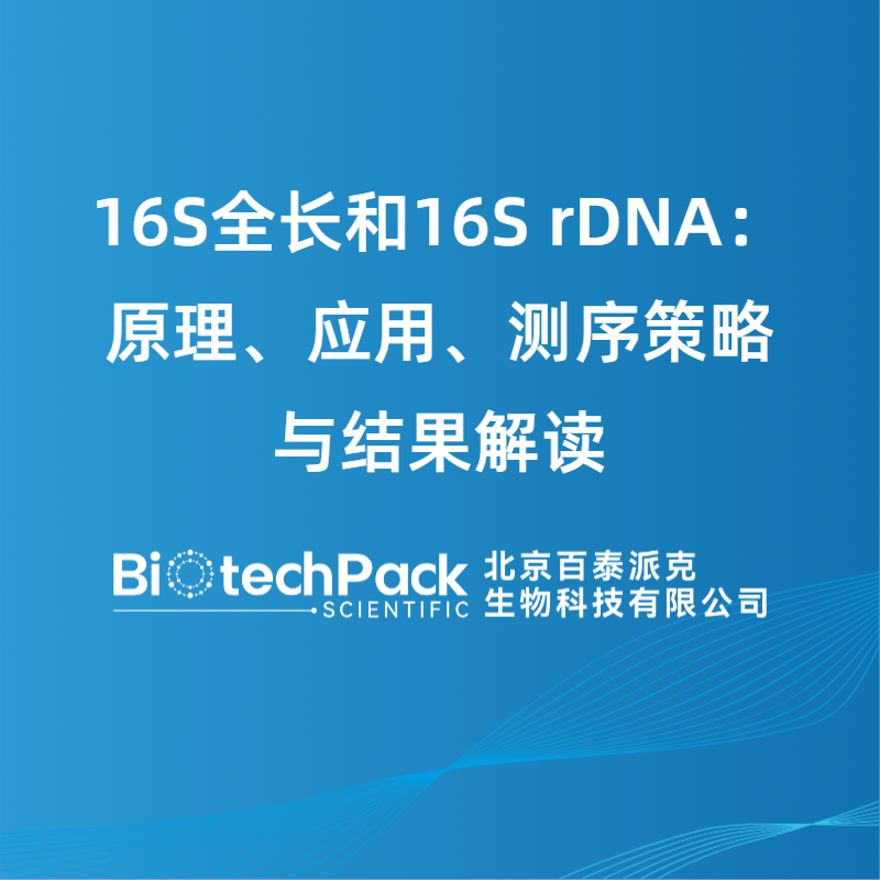 16S全长和16S rDNA：原理、应用、测序策略与结果解读