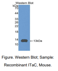 https://msimg.bioon.com/bionline/goods-no-pic.png