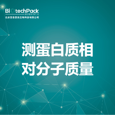 测蛋白质相对分子质量
