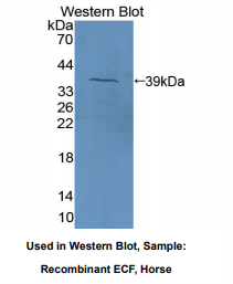 https://msimg.bioon.com/bionline/goods-no-pic.png