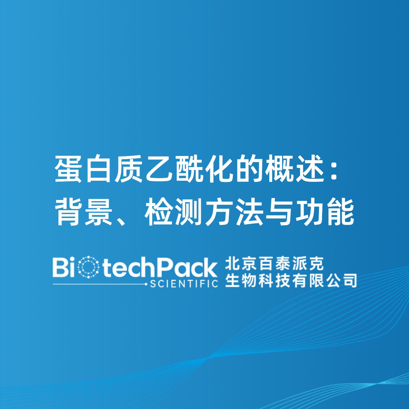 蛋白质乙酰化的概述：背景、检测方法与功能