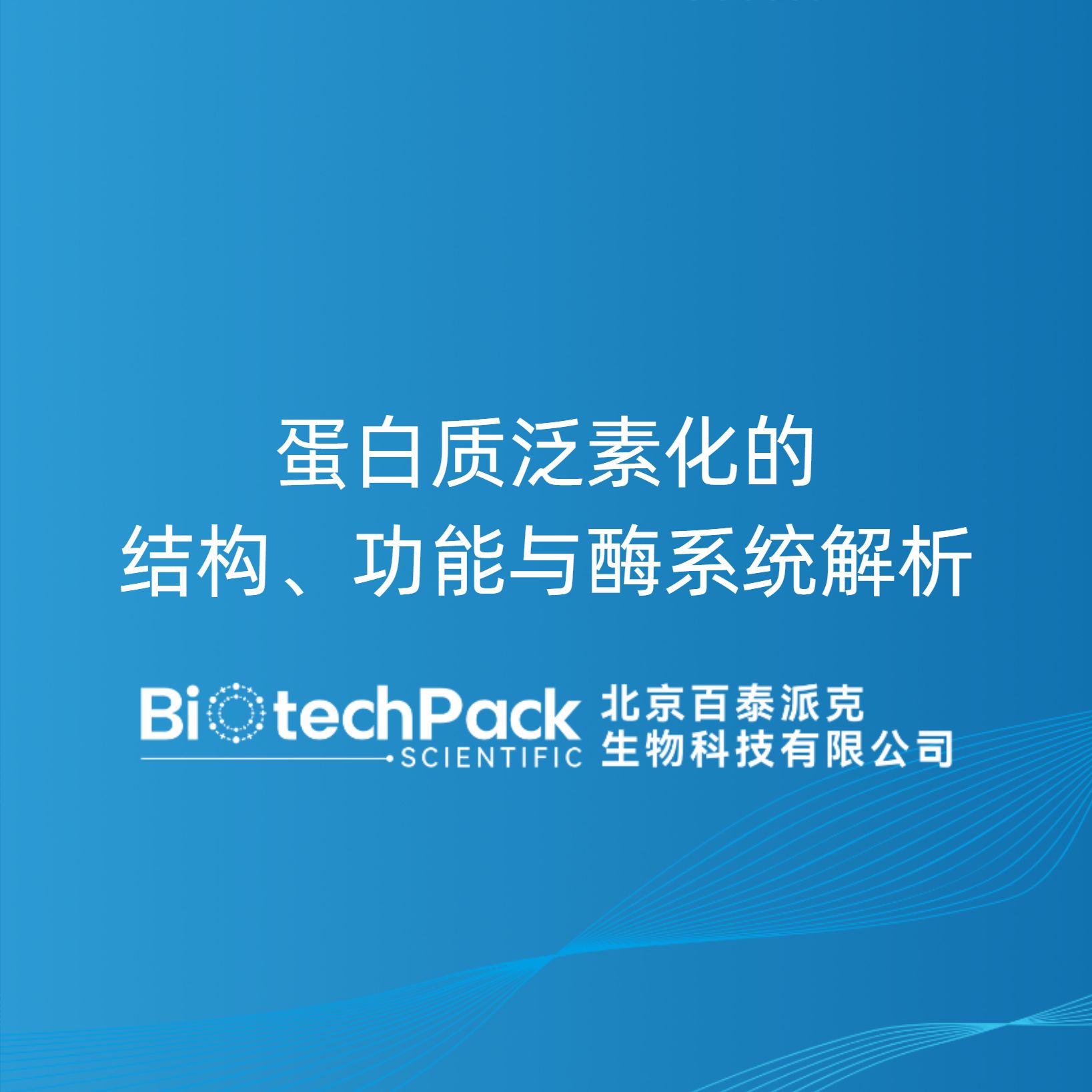 蛋白质泛素化的结构、功能与酶系统解析