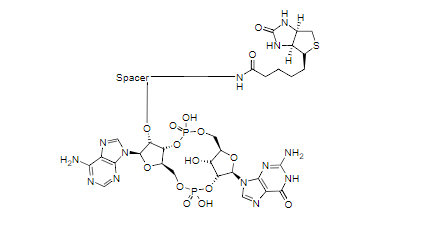 https://msimg.bioon.com/bionline/goods-no-pic.png