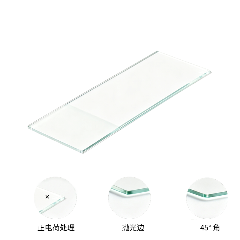 粘附载玻片（表面带正电荷）