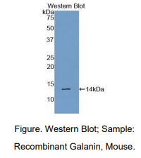 https://msimg.bioon.com/bionline/goods-no-pic.png