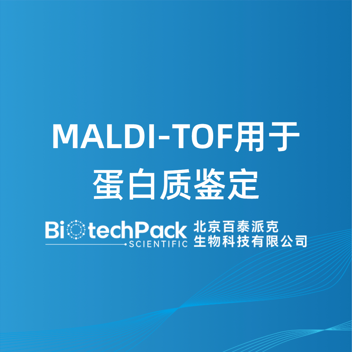 MALDI-TOF用于蛋白质鉴定