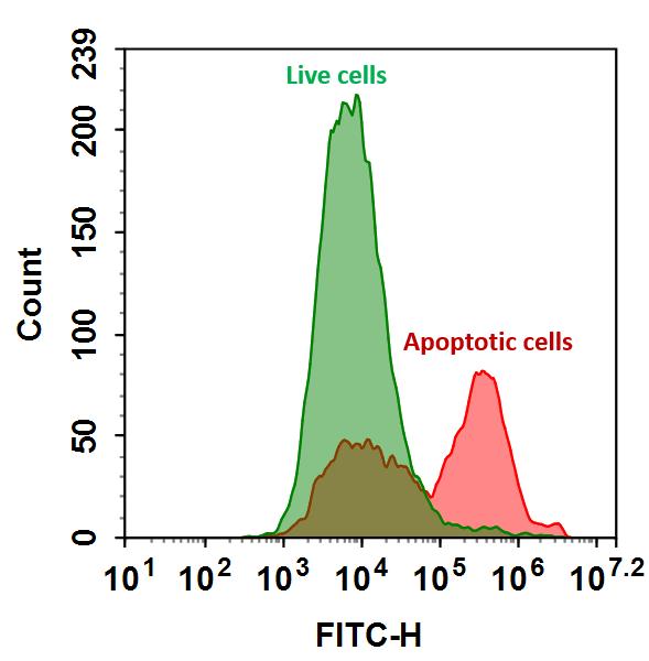 Annexin V, TRITC标记