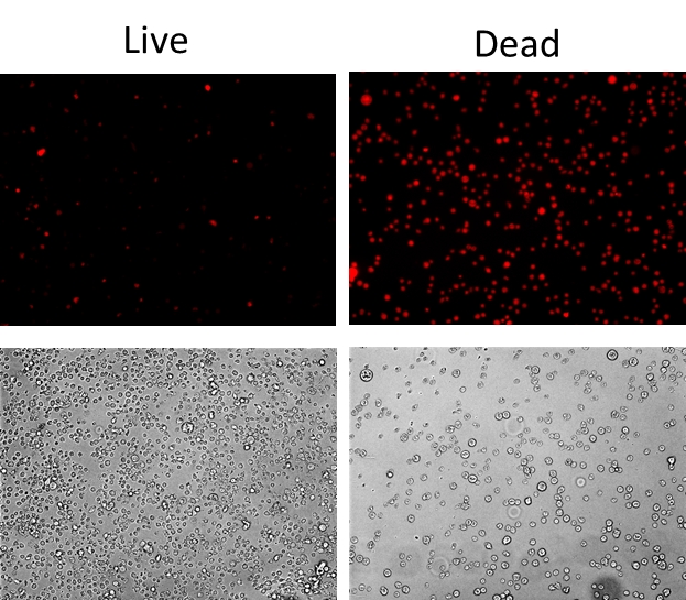 https://img.medsci.cn/e73eefcea40976357f460123cbf1e819c54e5106c9b457225be13b1cbc991aff.png