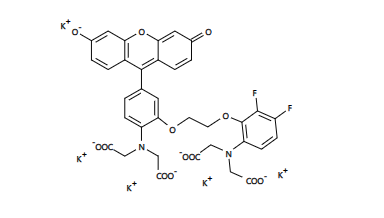 钙离子荧光探针Fluo-8FF,钾盐