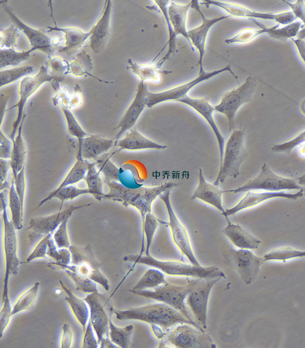 https://img.medsci.cn/8eee53bbc4cb7a98de615e72115896bc4e27fda5cbb764dbd67d9d641c2bb46a.png