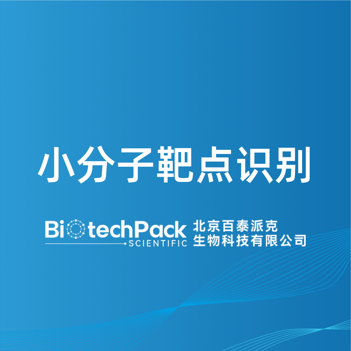 小分子靶点识别