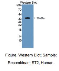 https://msimg.bioon.com/bionline/goods-no-pic.png