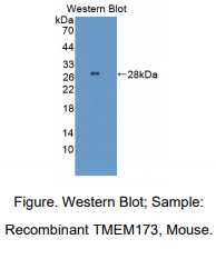 https://msimg.bioon.com/bionline/goods-no-pic.png