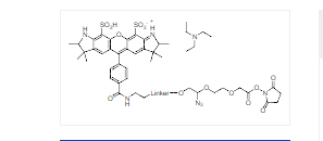 ReadiCleave XFD532 AML-NHS酯