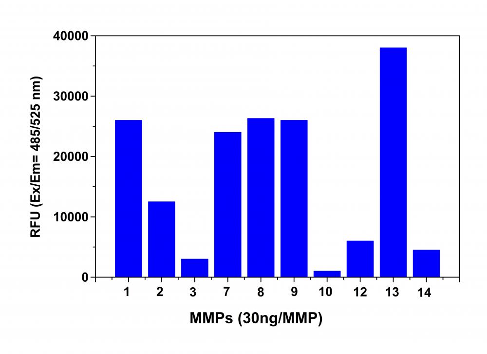 Amplite 荧光法MMP活性检测试剂盒 *红色荧光*