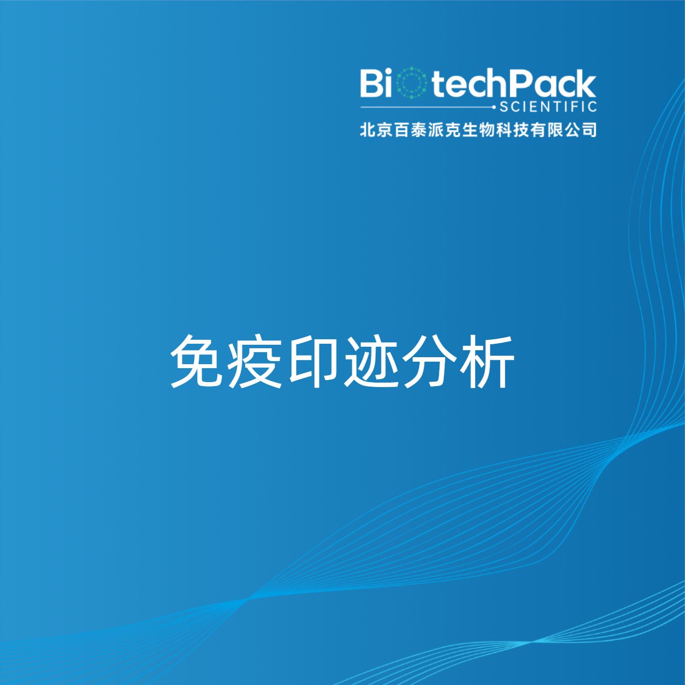 免疫印迹分析