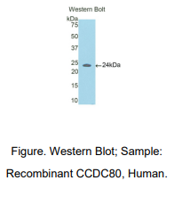 https://msimg.bioon.com/bionline/goods-no-pic.png