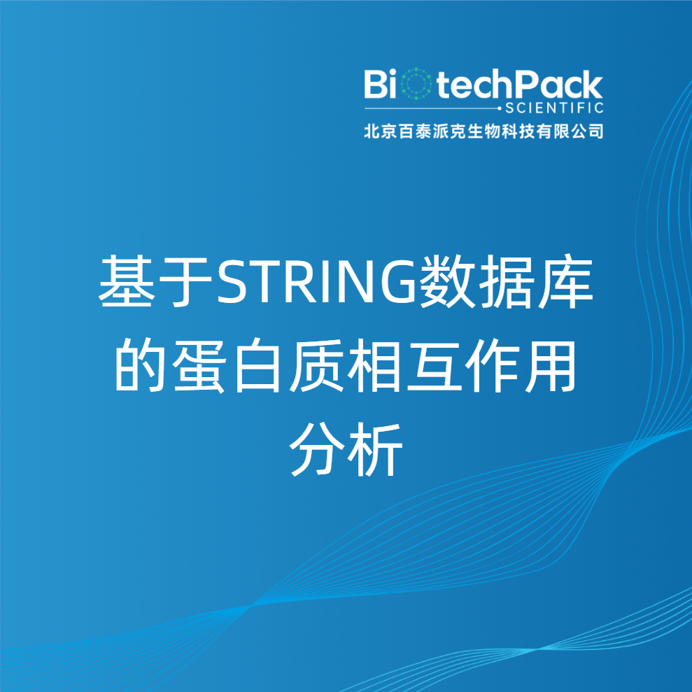 基于STRING数据库的蛋白质相互作用分析
