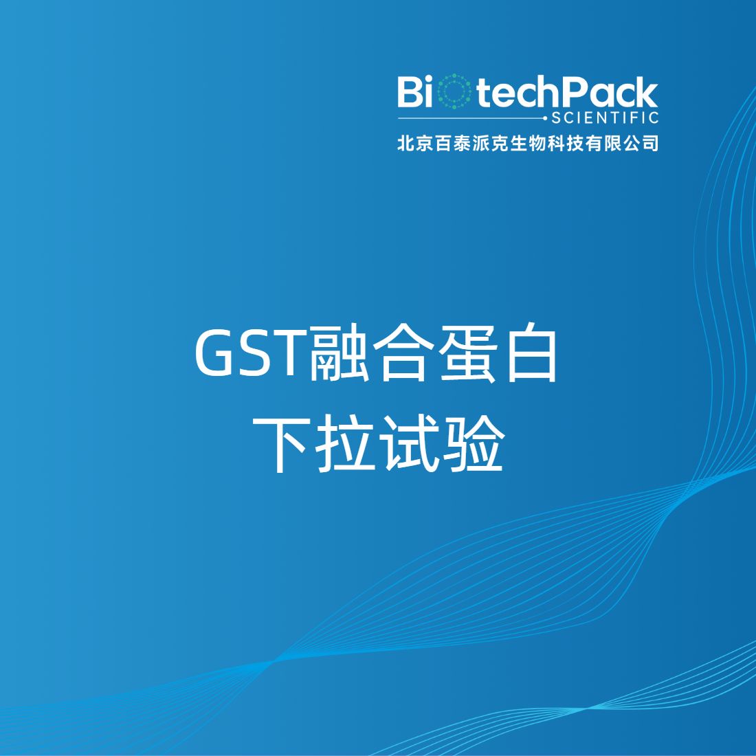 GST融合蛋白下拉试验