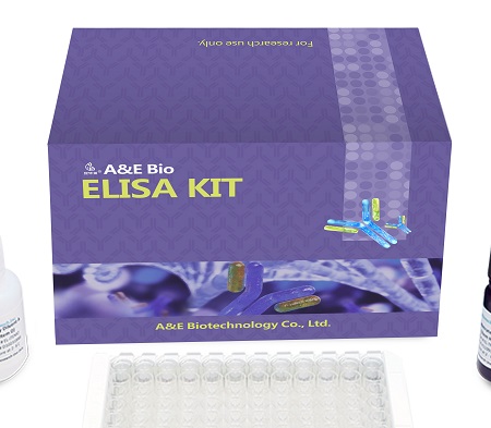 人白介素17(IL-17)ELISA Kit