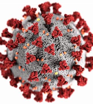 辉瑞加拿大公司和BioNTech开始向加拿大卫生部提交SARS-CoV-2疫苗<font color="red">候选</font>BNT162b2的滚动申请