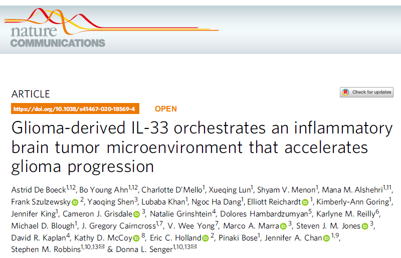 Nat Commun：IL-33促进肿瘤微环境的建立并加速<font color="red">胶质</font>瘤的发生发展
