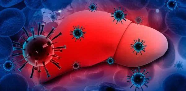 Clin Gastroenterology H: 自身免疫性肝炎患者的死亡率风险明显增加