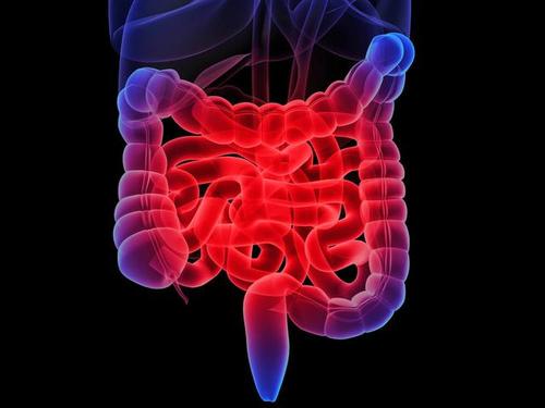 Clin Gastroenterology H: 炎性肠病患者接受生物制剂治疗后肠道切除的概率明显降低