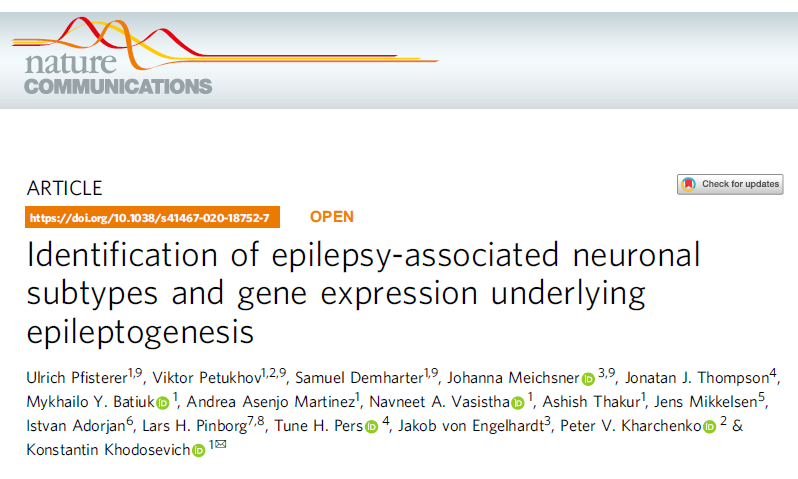 Nat Commun：癫痫相关神经元亚型的鉴定以及癫痫发生的相关潜在表达基因分析
