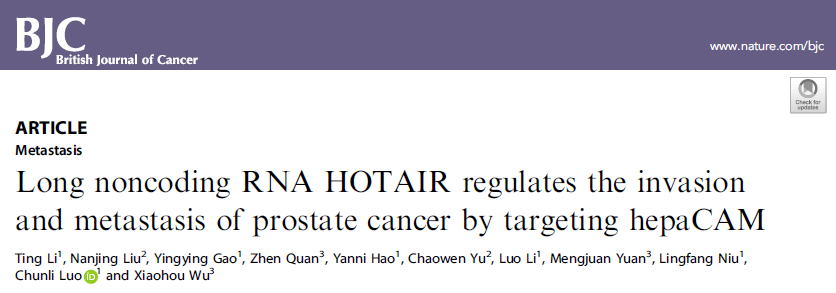 Br J Cancer：LncRNA HOTAIR通过靶向hepaCAM促进前列腺癌的侵袭和转移