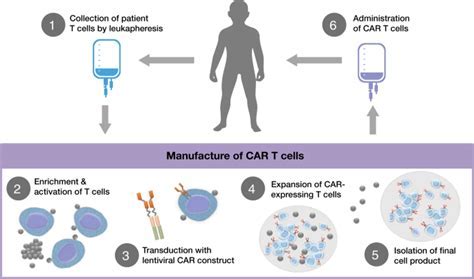 FDA授予CAR-T癌症疗法CLBR001 + SWI019“快速通道称号”