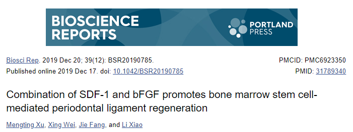 Biosci Rep：SDF-1和bFGF联合促进<font color="red">骨髓干细胞</font>介导的牙周韧带再生