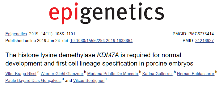Epigenetics：组蛋白赖<font color="red">氨酸</font>脱甲基<font color="red">酶</font>KDM7A是胚胎正常发育所必需的