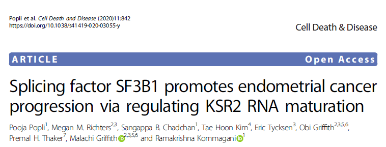 Cell Death Dis：SF3B1调节<font color="red">KSR2</font> mRNA的成熟促进子宫内膜癌的发生发展