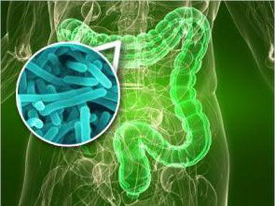 IBD: 克罗恩病患者发病前的肠道微生物谱与健康对照相似