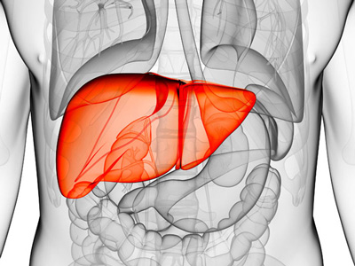 Hepatology：肝硬化患者手<font color="red">术后</font><font color="red">死亡率</font>的新型风险预测模型