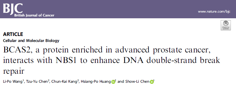 Br J Cancer：BCAS2参与<font color="red">DNA</font>双链<font color="red">断裂</font>损伤修复促进前列腺癌的发生发展