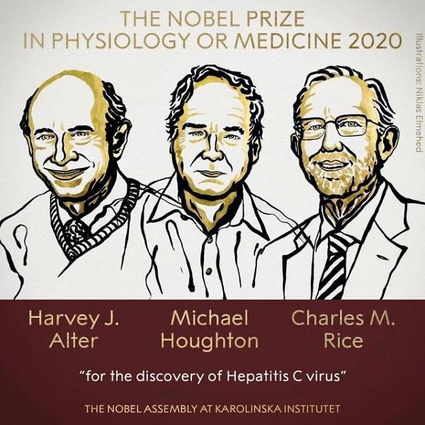 新闻背后丨2020诺贝尔生理学或医学<font color="red">奖</font>为何颁给这3人